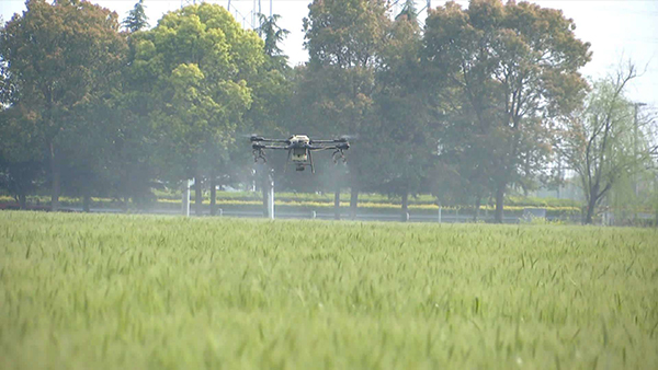 無人植保 無人植保