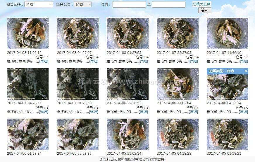 實時蟲情查看 實時蟲情查看